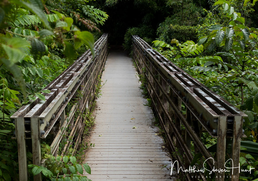 Jungle Bridge Road To Hana, Maui